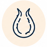 Hidradenitis Supurativa (HS)